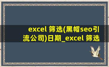 excel 筛选(黑帽seo引流公司)日期_excel 筛选最小值
